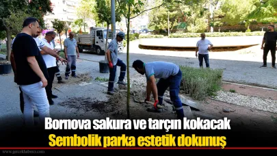 Bornova sakura ve tarçın kokacak