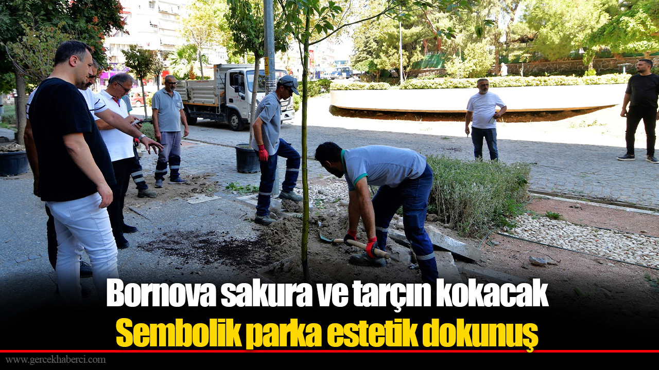 Bornova sakura ve tarçın kokacak