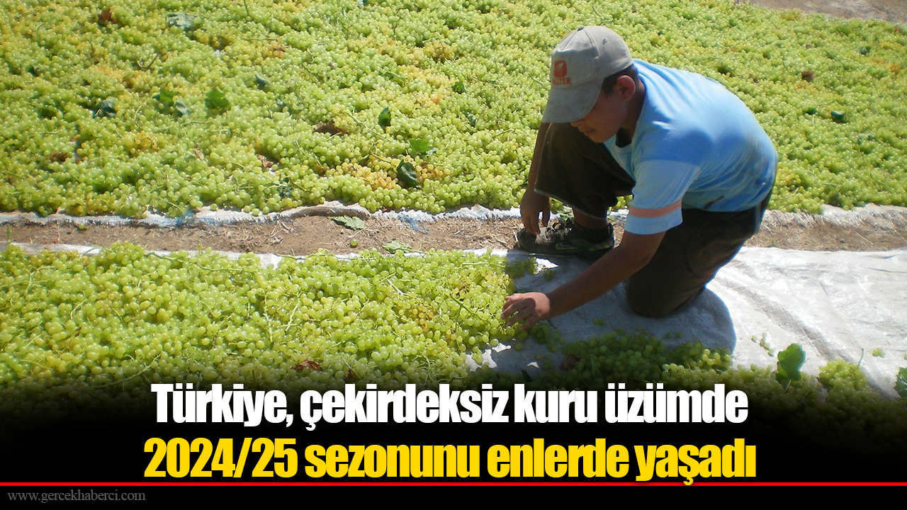 Türkiye, çekirdeksiz kuru üzümde 2024/25 sezonunu enlerde yaşadı