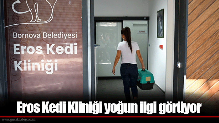 Eros Kedi Kliniği yoğun ilgi görüyor