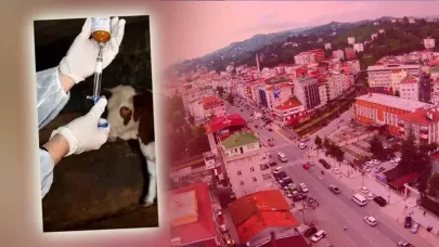 Besicilerin Kabusu Dirildi! 69 Köyde Acil Karantina Başladı