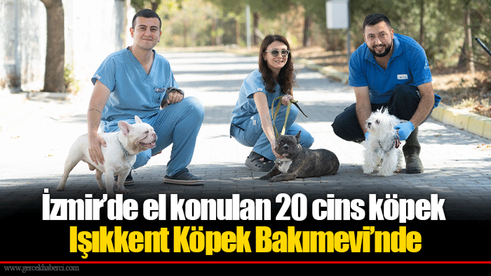 İzmir’de el konulan 20 cins köpek Işıkkent Köpek Bakımevi’nde