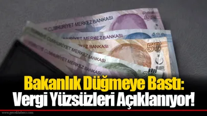 Bakanlık Düğmeye Bastı: Vergi Yüzsüzleri Açıklanıyor!