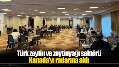 Türk zeytin ve zeytinyağı sektörü Kanada’yı radarına aldı