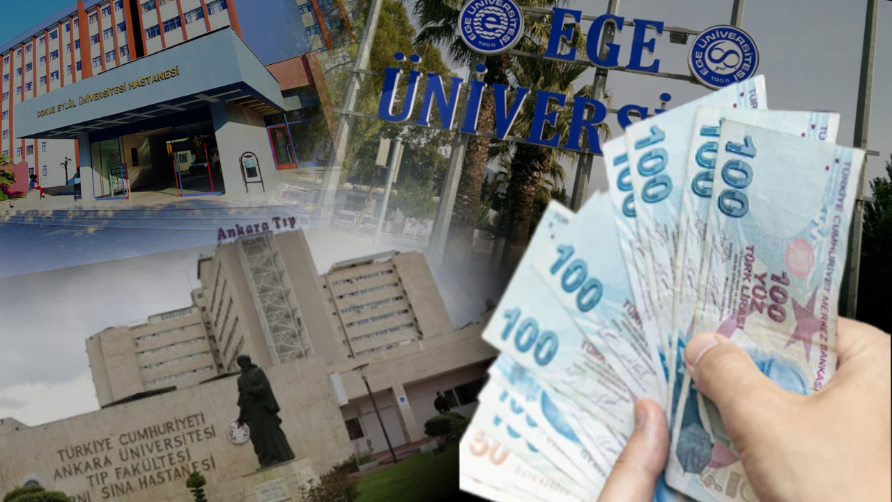 Sayıştay raporları ortaya koydu: Üniversite hastanelerinde yetkisiz "danışmanlık" ve yüksek ücretler...