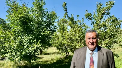 Gürer: “Ziraidon nedeniyle meyve fiyatları patladı”