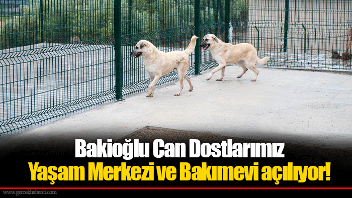 Bakioğlu Can Dostlarımız Yaşam Merkezi ve Bakımevi açılıyor!
