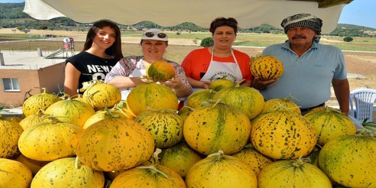 MİS KOKULU FESTİVAL