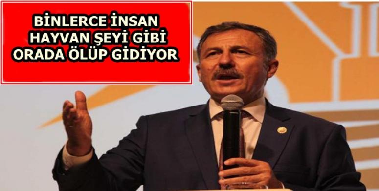 "BİNLERCE İNSAN HAYVAN ŞEYİ GİBİ ORADA ÖLÜP GİDİYOR"