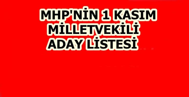 MHP'NİN 1 KASIM MİLLETVEKİLİ ADAY LİSTESİ