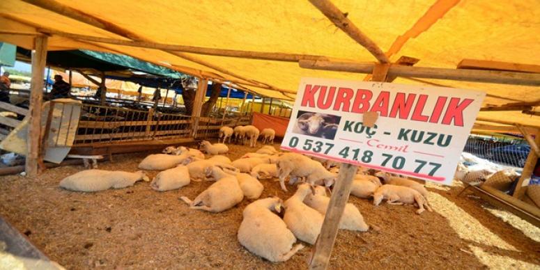 KEMALPAŞA KURBAN BAYRAMI’NA HAZIR