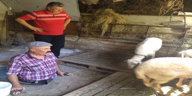 BALBAY BAYRAMDA HALKIN NABZINI TUTTU