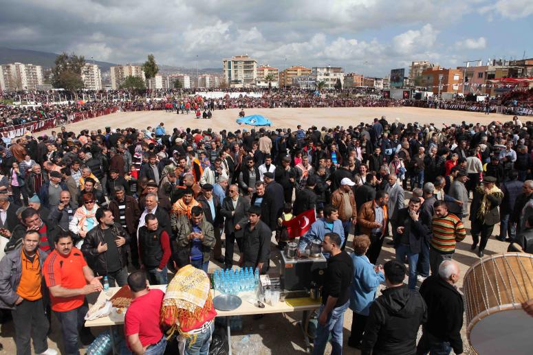 HAYDİ FESTİVALE!
