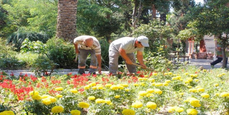 ÇANDARLI’NIN YEŞİLİ KORUMA ALTINDA