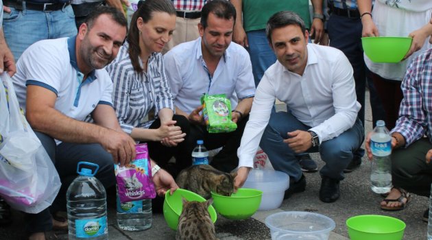 AK Parti Konak'tan Hayvansever Kampanya