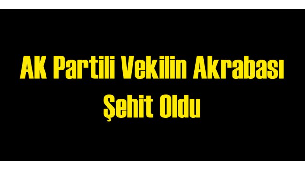 AK Partili Vekilin Akrabası Şehit Oldu