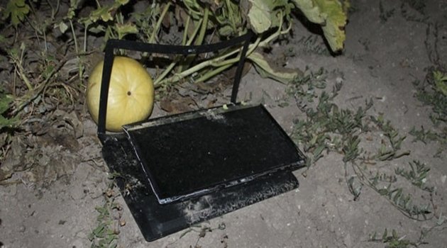 Akıncı Üssü Yanındaki Tarlada 3 Laptop Bulundu