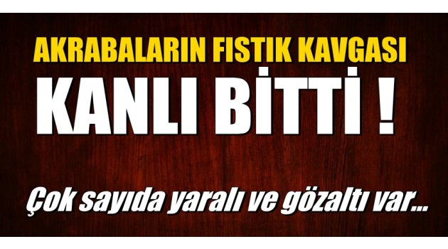 Akrabaların fıstık kavgası kanlı bitti!