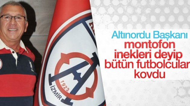 Altınordu'da Montofon İneği Krizi!