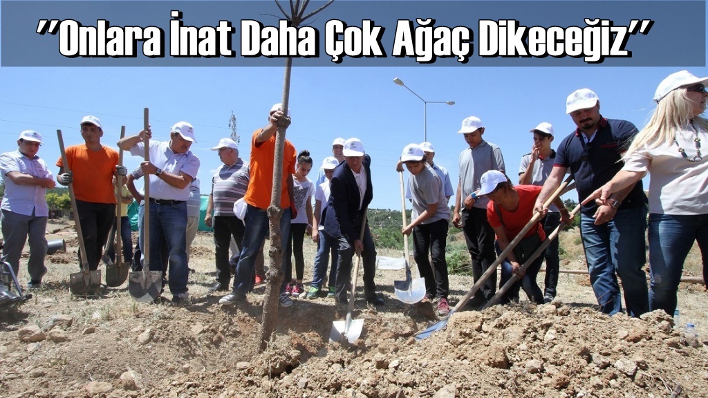 Başkan Şenol: Yeşilimize, geleceğimize  hep birlikte sahip çıkalım