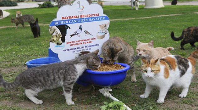 Bayraklı’da Can Dostlara Yakın İlgi