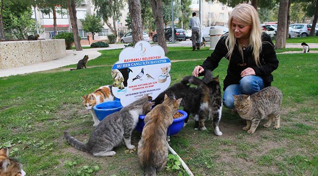 Bayraklı'da Hayvan Koruma Gönüllüleri Sahada
