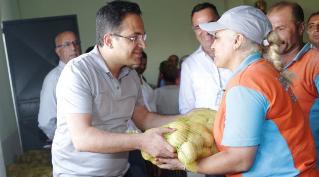 Bornova Belediyesi’nden patates üreticisine destek