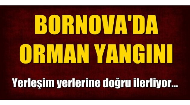 Bornova'da orman yangını! Yerleşim alanlarına doğru ilerliyor