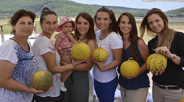 Bu Festival Mis Kokulu