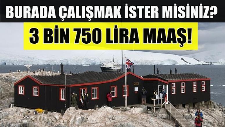 BU POSTANE İŞÇİ ARIYOR! TAM 3 BİN 750 LİRA MAAŞ