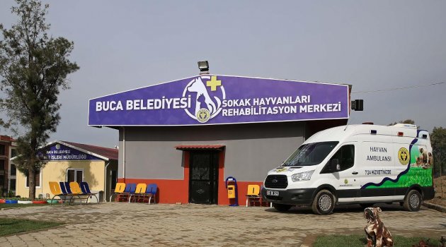 Buca’da Sokak Hayvanlarına Dört Dörtlük Hizmet