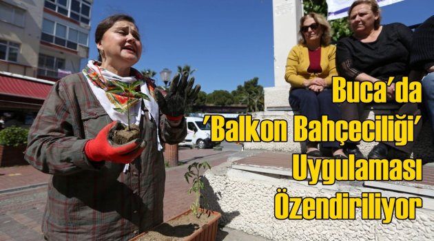 Buca’da tarım balkonlara taşıyor