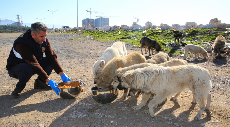 CAN DOSTLARIMIZA GIDA DESTEĞİ