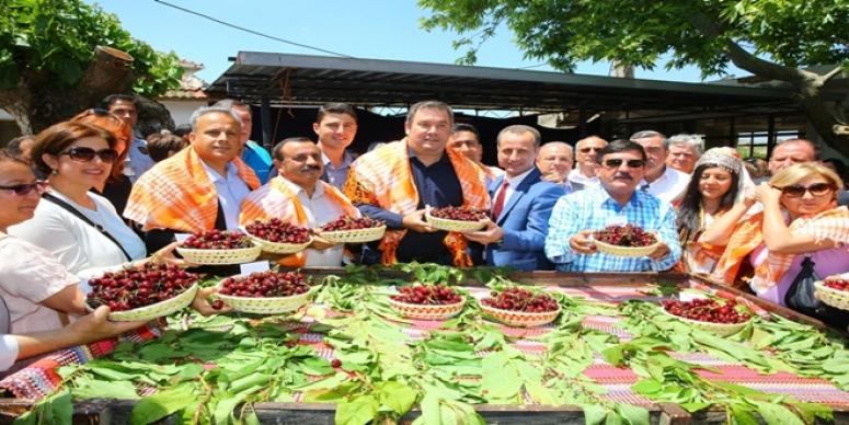 BELENBAŞI’NIN KİRAZLARI GÖRÜCÜYE ÇIKTI