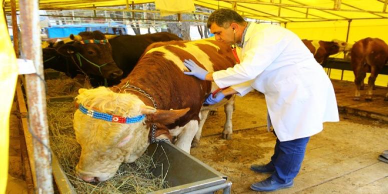VETERİNER MÜDÜRLÜĞÜ’NDEN ÖNEMLİ UYARILAR
