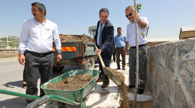 Buca'da hedef 3 yılda 20 bin ağaç