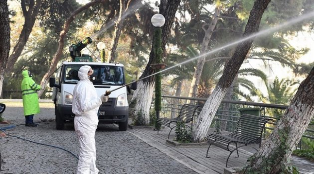 Büyükşehir Belediyesi 25 Bin Çam Ağacını İlaçladı