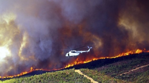 Çanakkale'de Orman Yangını
