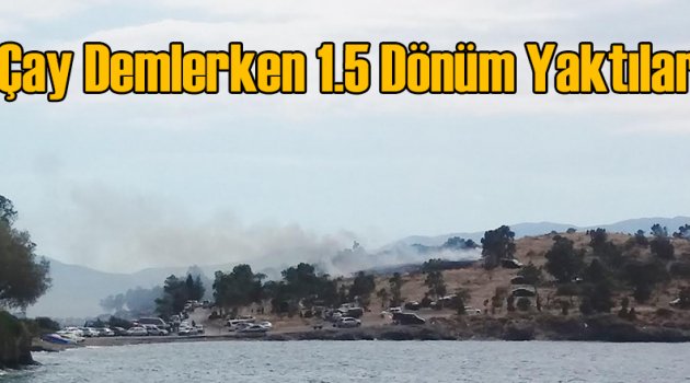 Çay Demlemek İçin 1.5 Dönüm Yaktılar