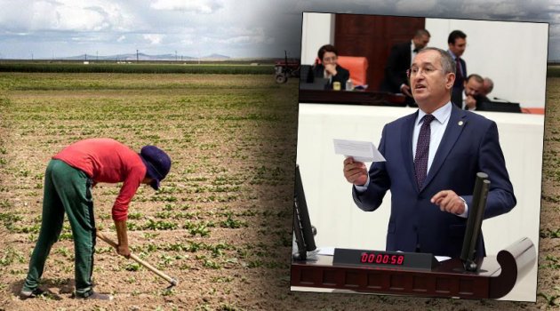 CHP’li Sertel “Çocuk İşçileri” Sordu