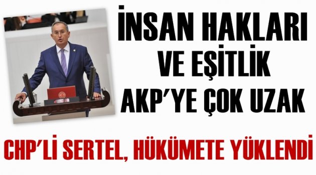CHP Milletvekili Sertel: İnsan hakları ve eşitlik AKP’ye çok uzak