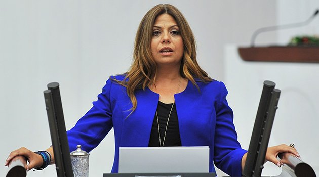 CHP'li Altok Bütçe Tasarısı Üzerine Konuştu
