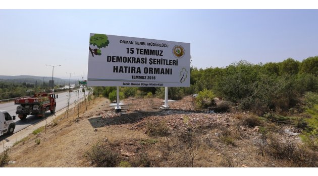 Demokrasi şehitlerinin adı bu ormanda yaşayacak