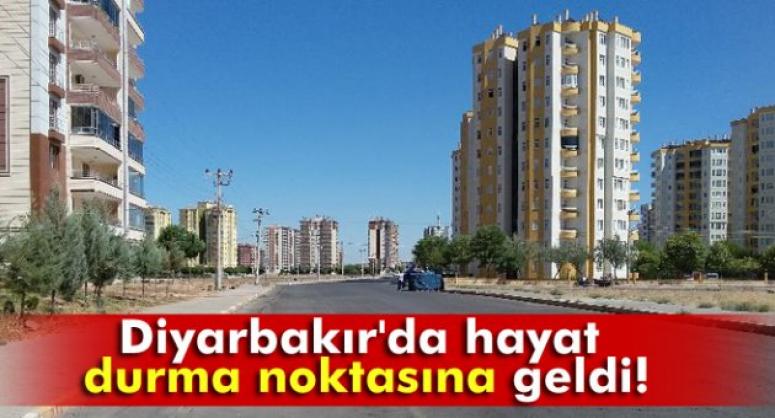 DİYARBAKIR'DA HAYAT DURMA NOKTASINA GELDİ!