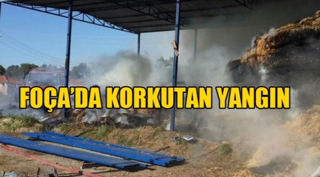 Foça’da Korkutan Yangın!