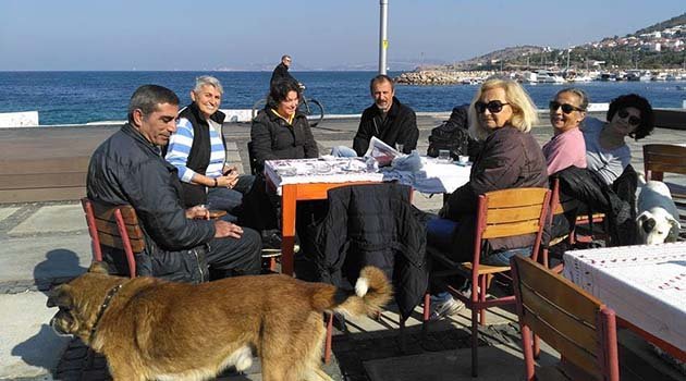 Foçalı Hayvan Severlerden Yardım İsteği