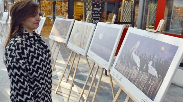 Foto Safari’de Ödül Zamanı