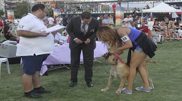 Gaziemir’de Köpek Irkları Yarışması