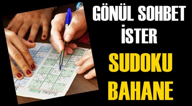 Gönül sohbet ister, sudoku bahane!
