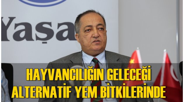 Hayvancılığın Geleceği Alternatif Yem Bitkilerinde